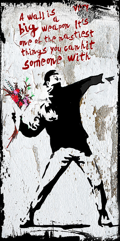 Micha Baker - Flower Thrower Banksy