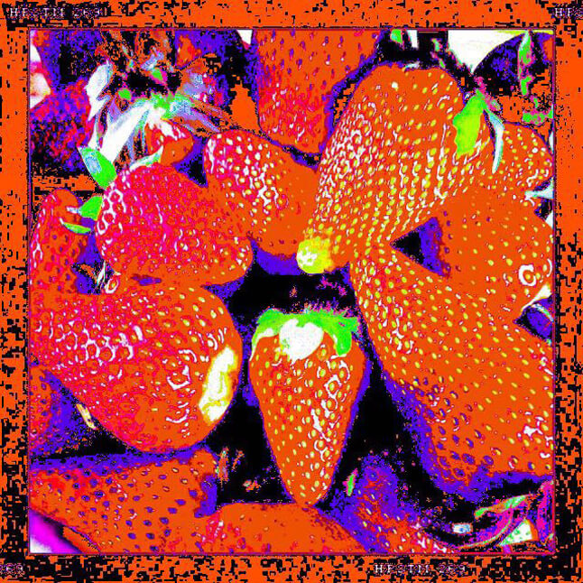 natascha ochsenknecht art kunst walentowski strawberry erdbeeren
